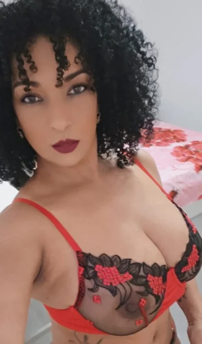 Canela Latina - Heisses Vergnügen